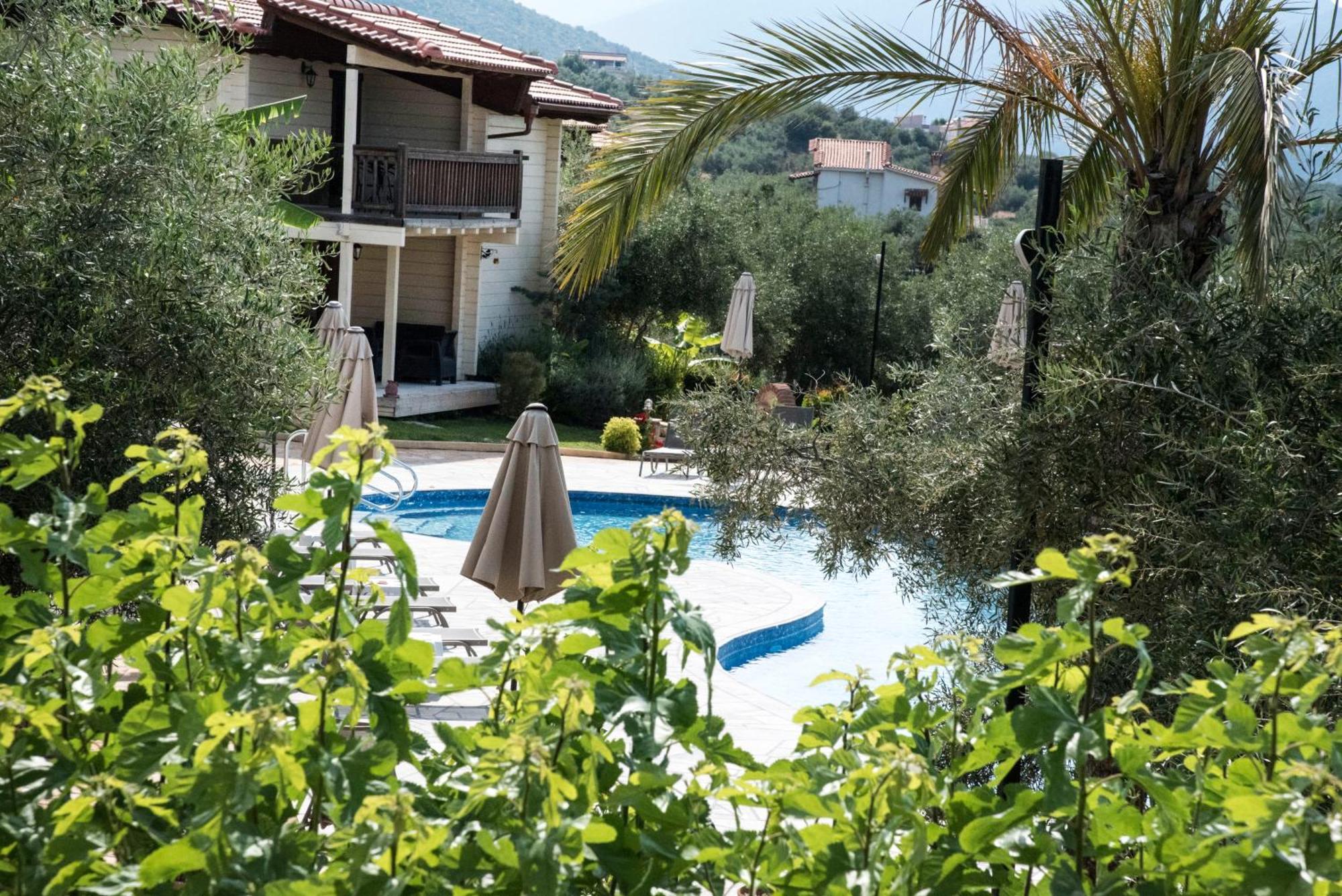 Anthidon Nature Estate & Farm Chalkida Room photo